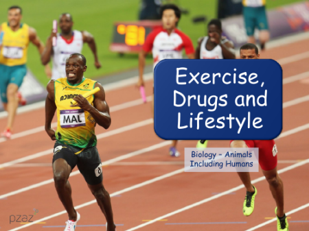 Exercise, Drugs and Lifestyle - Presentation