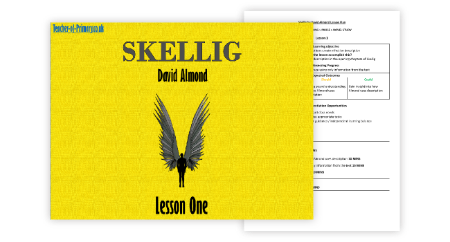 Skellig Lesson 1: Predictions and pre-reading