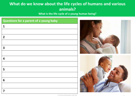 Questions for a parent with a young baby - Worksheet - Year 5