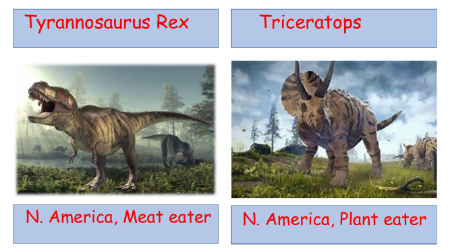 Dinosaurs - Dino Cards