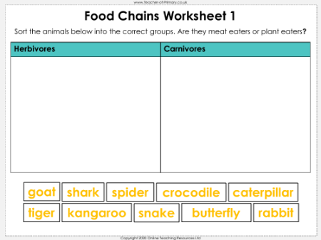 Food Chains - Worksheet
