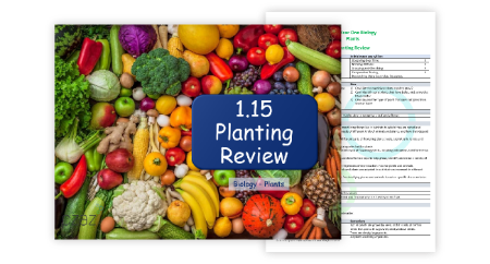 Planting Review