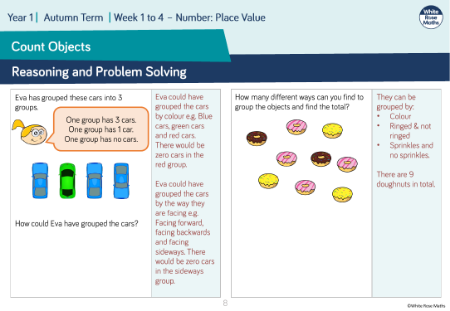 Count objects: Reasoning and Problem Solving