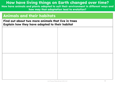 Research the adaptations of two arboreal animals - worksheet