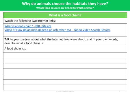 What is a food chain? - Worksheet