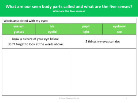 What are the five senses? - What can my eyes do? - Worksheet