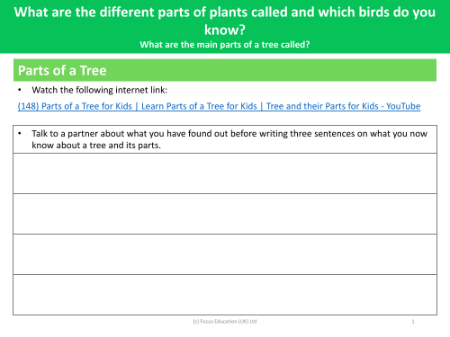 Parts of a tree - Worksheet - Year 1