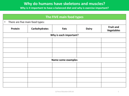 Five main food types - Worksheet