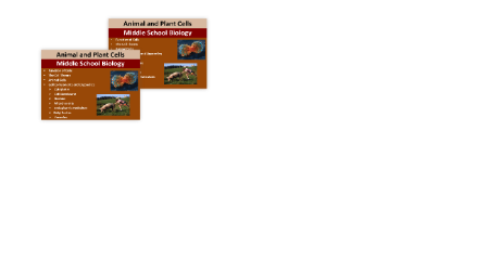 Animal and Plant Cells - Middle School