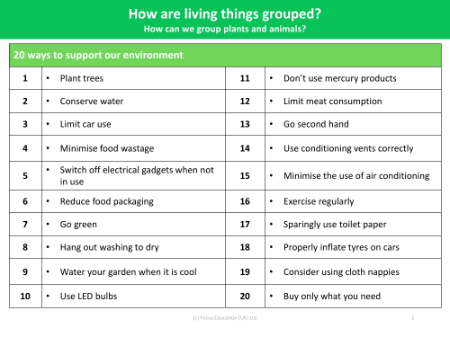 20 Ways to support our environment - Grouping Living Things - Year 4