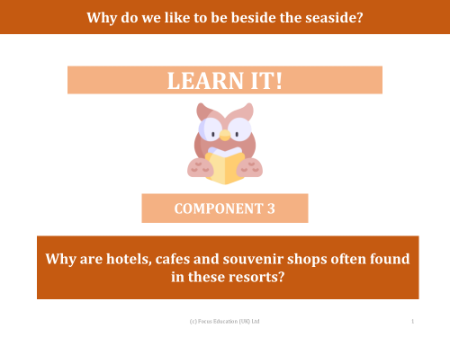 Why are hotels, cafes and souvenir shops often found in these resorts? - Presentation