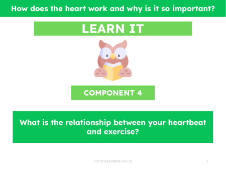 What is the relationship between your heartbeat and exercise? - Presentation