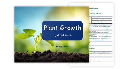 Plant Growth (Light and Water)