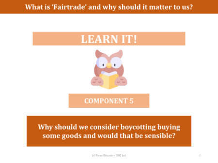 Why should we consider boycotting buying some good and would that be sensible? - Presentation