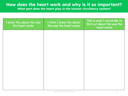 How the heart works - What I know - Worksheet