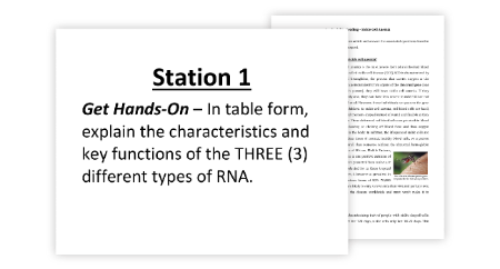 Transcription and Translation - Protein Synthesis - 7 Engaging Lab Stations