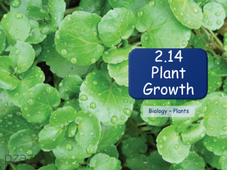 Plant Growth - Presentation