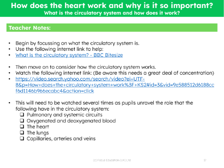What is the circulatory system and how does it work?  - Teacher notes