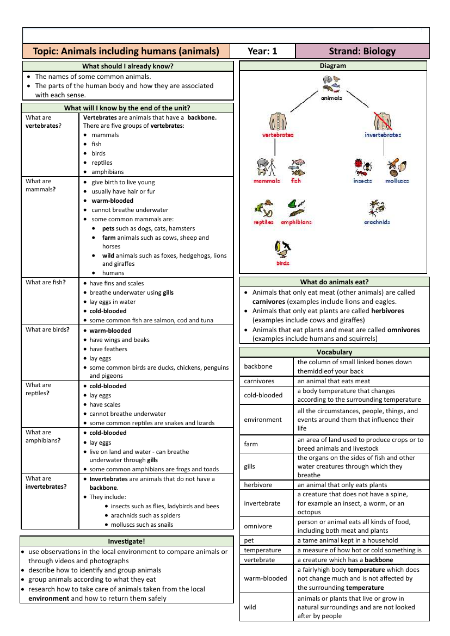 Animals including Humans - Knowledge Organisers