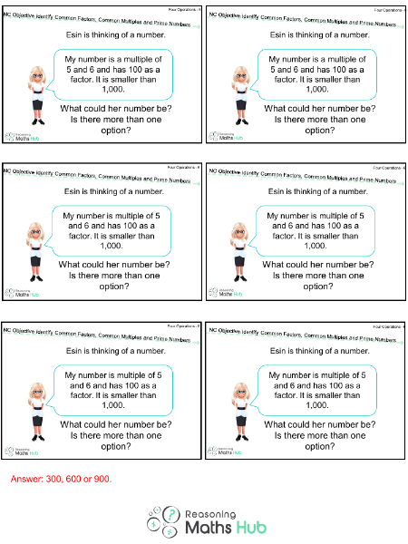 Identify Common Factors, Common Multiples and Prime Numbers - Reasoning