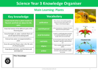 Knowledge organiser - Plants - Year 3