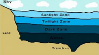 Habitats - Ocean Zones