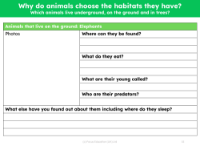 Elephants fact file  - Worksheet