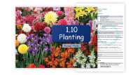 10. Planting