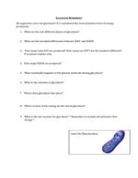 Glycolysis and Citric Acid Cycle - Worksheet