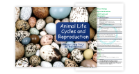 1. Animal Life Cycles and Reproduction