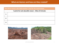 Three reasons - Why deforestation is bad