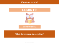 What do we mean by Recycling? - Presentation