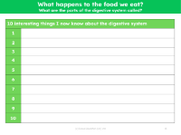 10 interesting facts about the digestive system - Worksheet