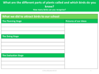 What we did to attract birds to our school - Worksheet - Year 1