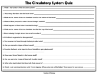 The Circulatory System - Worksheet