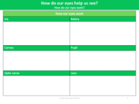 How our eyes work: Different Parts - Worksheet - Year 6