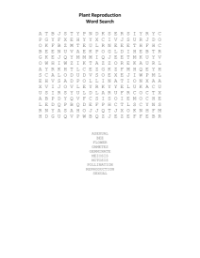 Word Search