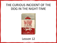 The Curious Incident of the Dog in the Night time   Lesson 12 - PowerPoint