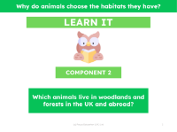 Which animals live in woodlands and forests in the UK and abroad? - Presentation