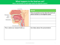 Mouth - Research sheet