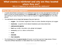 Why are rainforests so important? - Info sheet