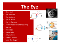 The Human Eye - Teaching Presentation