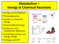 Metabolism - Teaching Presentation