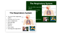 The Respiratory System - Middle School