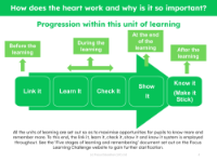 Progression pedagogy