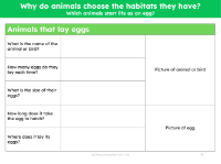 Animals that lay eggs fact file - Worksheet