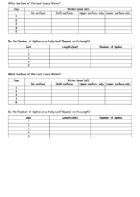 Leaves - Results Tables