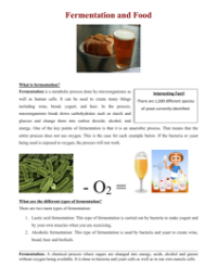 Fermentation and Food - Reading with Comprehension Questions