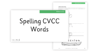 Lesson 3 Spelling CVCC Words 