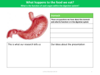 Stomach - Research sheet